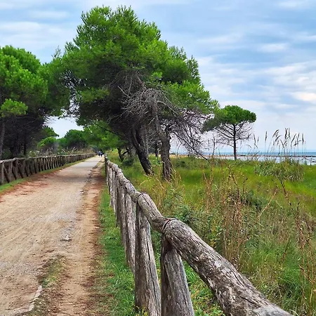 Apartment Lovely Flat 100m From The Ideal For 6 Guests Bibione